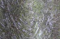 Llangennith fibreglass roof work